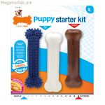 Շան ծամելու խաղալիք Nylabone Extreme Chew Starter Kit Puppies Chicken Nylon Termoplastic (3 հատ)