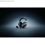 Ականջակալներ Razer RZ04-05400500-R3G1 սև