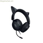 Ականջակալներ Razer RZ04-05350200-R3M1 սև