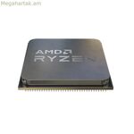 Պրոցեսոր AMD 100-000000718