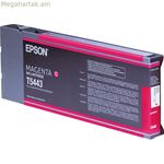 Օրիգինալ թանաքային փամփուշտ Epson GF Stylus Photo 4450/4400 սև մանուշակագույն