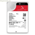 Կոշտ սկավառակ Seagate ST30000NT011 3,5