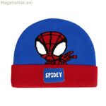 Գլխարկ Սարդ