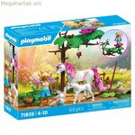 Խաղալիքների հավաքածու Playmobil 71839