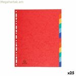 Seperators Exacompta բազմագույն A4+ 12 թերթ (25 հատ)