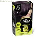 Մշտական գույն Llongueras COLOR ADVANCE Nº 4,2-Borgona