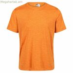 Տղամարդու կարճ թևքով մարզաշապիկ Regatta Regatta Fingal Edition նարնջագույն