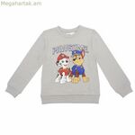 Children’s Sweatshirt The Paw Patrol Grey