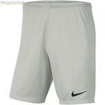 Տղամարդկանց սպորտային շորտեր Nike DRI FIT PARK III BV6855 017 մոխրագույն