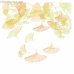 Nordic cover Devota & Lomba Rai