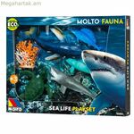 կենդանիներ Մոլտո