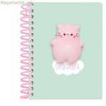 Սաֆտա տետր Վարդագույն կատուն Բազմագույն