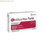 Ցուցանակներ Cistitus Cistitus Nox Forte