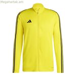 Տղամարդու սպորտային բաճկոն Adidas IC7876