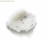 Մարմնի շերտազատող միջոց՝ Էլեմիս Ֆրանջիպանի Մոնոի 490 գ