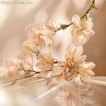 Unisex Օծանելիք Elie Saab LE PARFUM 30 մլ