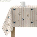 Բծերից պաշտպանող խեժապատ սփռոց Հարրի Փոթեր բազմագույն 100 x 150 սմ