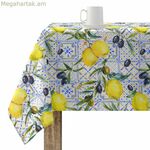 Բծերից պաշտպանող խեժապատ սփռոց Belum 0120-260 Բազմագույն 150 x 150 սմ