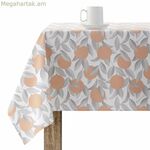 Բծերից պաշտպանող խեժապատ սփռոց Belum 0400-30 Բազմագույն 100 x 150 սմ