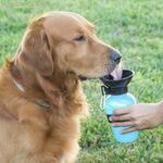 Շան ջրի շշ-բաշխիչ InnovaGoods