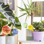 Ավտոմատ ջրող գնդիկներ՝ գնդիկավոր ջրհորներ InnovaGoods 4 հատ