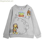 Սվիտեր առանց գլխարկի՝ «Խաղալիքների պատմություն» մոխրագույն