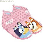 Տան հողաթափեր՝ կապույտ-վարդագույն