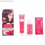 Մշտական ներկ Color Sensation Garnier