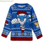 Ունիսեքս սվիտեր Sonic Blue