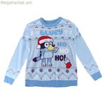 Կապույտ սվիտեր