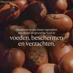 Ոտքերի խոնավեցնող կրեմ L'Occitane En Provence KARITÉ CONFORT 30 մլ