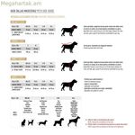 Շան լծասարք Բարբի