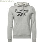 Տղամարդու վերնաշապիկ Reebok FT BIG LOGO OTH HZ8786 մոխրագույն