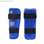 Շինգարդ Լեոնե 1947 ԴՆԹ