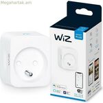 Smart Plug Wiz Wi-Fi 10 A