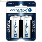 EverActive LR20 1,5 Վ մարտկոցներ (2 հատ)